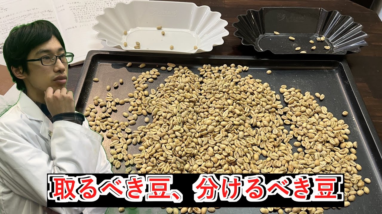 取るべき豆、分けるべき豆