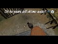 Chi ha paura dell'ultimo audio? 🎤👻