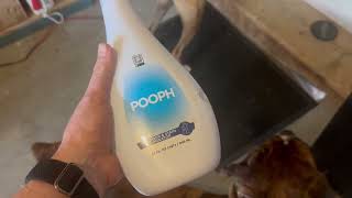 Pooph Pet Odor Eliminator Review | Does It Really Remove Dog & Cat Odors for Good?