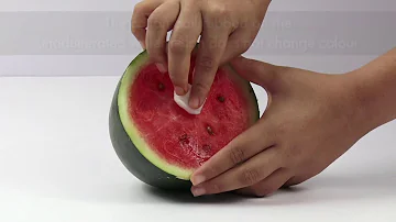 Testing Watermelon adulteration with Erythrosine Color | FSSAI