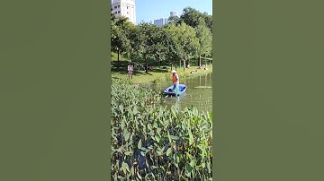 #shorts#youtubeshorts#shenzhen#china