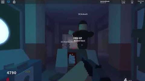 Just Playing Some Project Lazarus: Zombies (No Commentary)