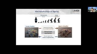 MBoC Highlight: Forces On and Within Cells with Keynote by ASCB President Rong Li