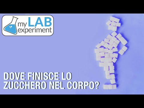 Video: Dove viene immagazzinato il glucosio in eccesso come glicogeno nel corpo?