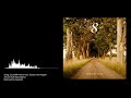 CLOSER Remix (feat. Zodiac the Rapper) by Roth Bart Baron
