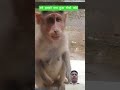 अरे इसको क्या हुआ रोको कोई ll #funny #viral #comedy #shortvideo #short