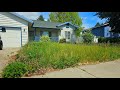 Neighbor has been laughing  staring at his overgrown yard for months