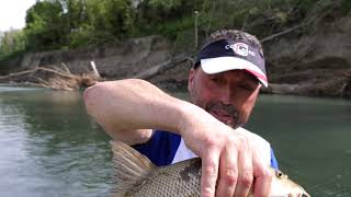 PESCA dei BARBI in CORRENTE con la canna BOLOGNESE