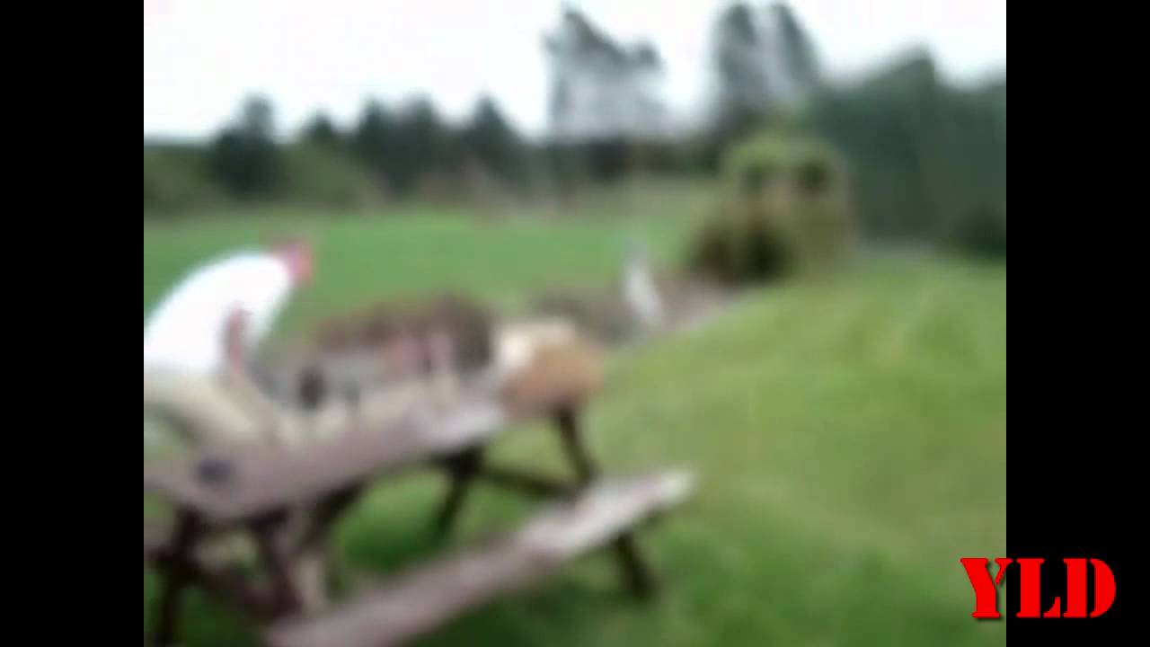 EPIC FAIL Guy Throws up and after Drinking 6 beers in under 3 minutes