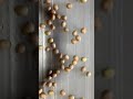 How kiwi fruit is grown, harvested, sorted and packaged #shorts