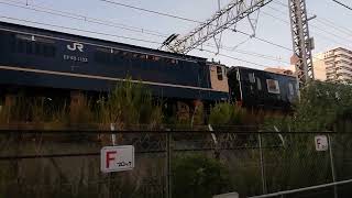 EF65 1132牽引 JR九州キハ47系「かわせみ・やませみ」京都鉄道博物館配送配9310レ 加島駅前通過