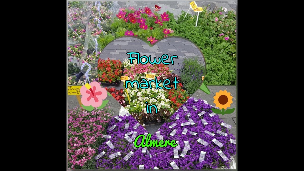 Flower market 2018 in Almere YouTube