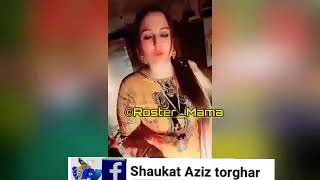 neelum gul new video