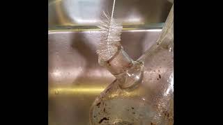bong cleaning