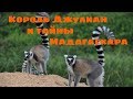 Мадагаскар - заповедник лемуров, Вакона лодж и парк Анальмазоатра