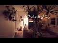 Day 14 Houseplant Vlog: Watering Day and GOOD NEWS!