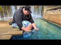 Catching wild aquarium fish at a german hot spring