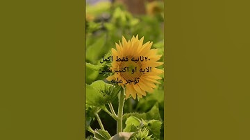#quran #فلسطين #القرآن_الكريم #رمضان_يجمعنا #ختمة معا لنختم القران الكريم في رمضان