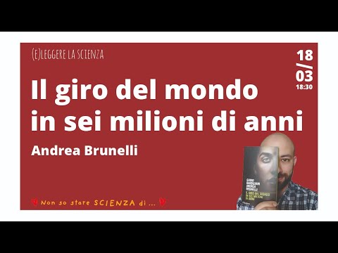 Video: Come la creatività guarisce il dolore cronico e guarisce il corpo