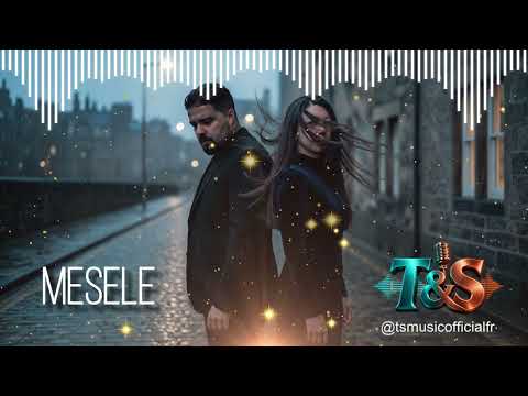 TS Music  - Mesele