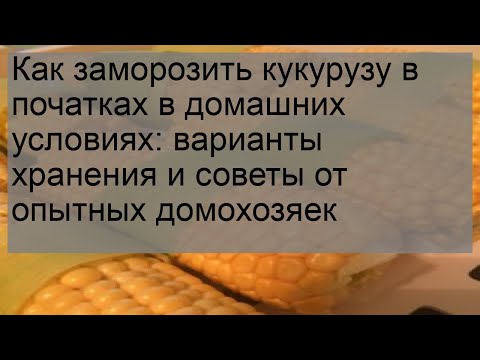Как заморозить кукурузу в початках в домашних условиях: варианты хранения и советы от опытных домо.