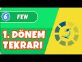 6.Sınıf Fen 1.Dönem Full Tekrar 📝