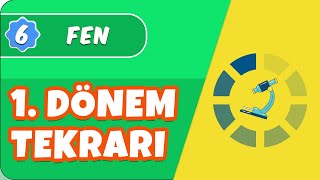 6.Sınıf Fen 1.Dönem Full Tekrar