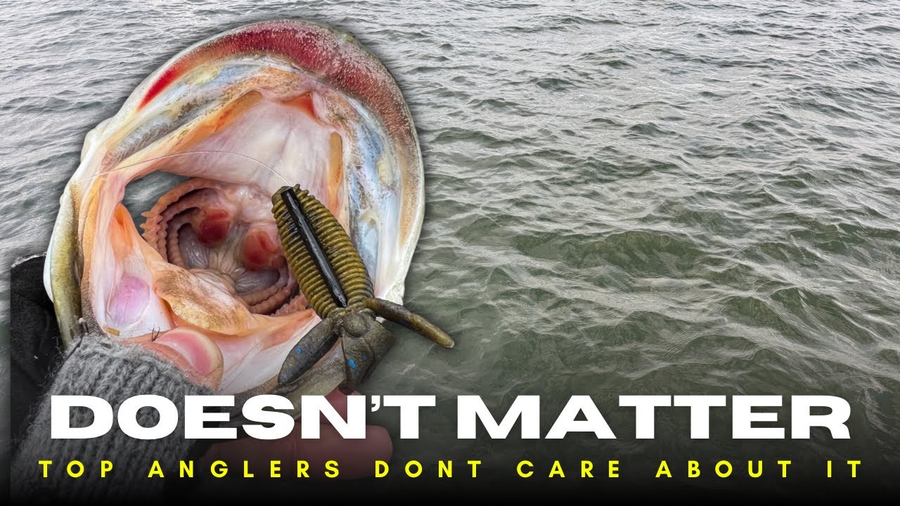 The Best Anglers Don’t Care About These Fishing Topics! You Shouldn’t Either!