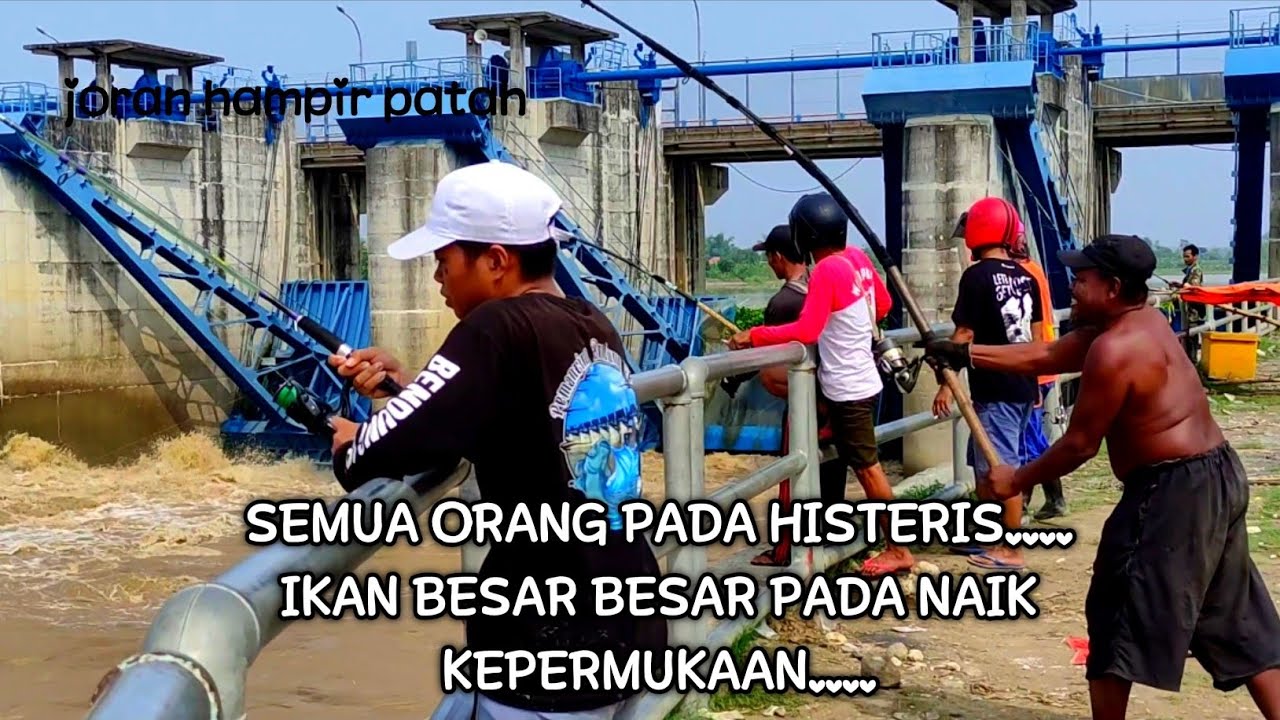 MENGERIKAN...!!! SEMUA ORANG PADA HISTERIS,,IKAN BESAR² NAIK KEPERMUKAAN,,