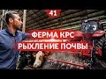 Молочная ферма КРС, содержание коров. Обработка почвы после уборки люцерны.