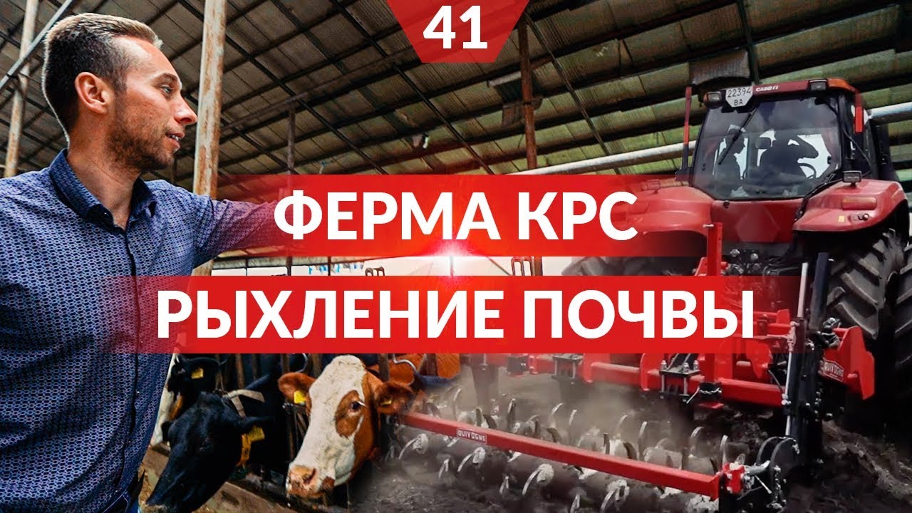 Курсовая работа: Расчет осветительной установки помещения коровника на 25 коров Курсовая работа: Расчет осветительной установки помещения коровника на 25 коров