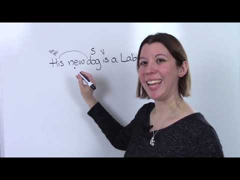 Diagramming Lesson 6: Possessive Pronouns
