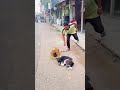 ما تستهزاش باللي هتشوفه شوفوا للاخر وتوكل على الله Funny اكسبلور