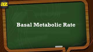 What Is Basal Metabolic Rate شرح بالعربي