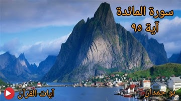 سورة المائدة آية: ٩٥ يا أيها الذين آمنوا لا تقتلوا الصيد وأنتم حرم... / الشيخ مشاري راشد العفاسي