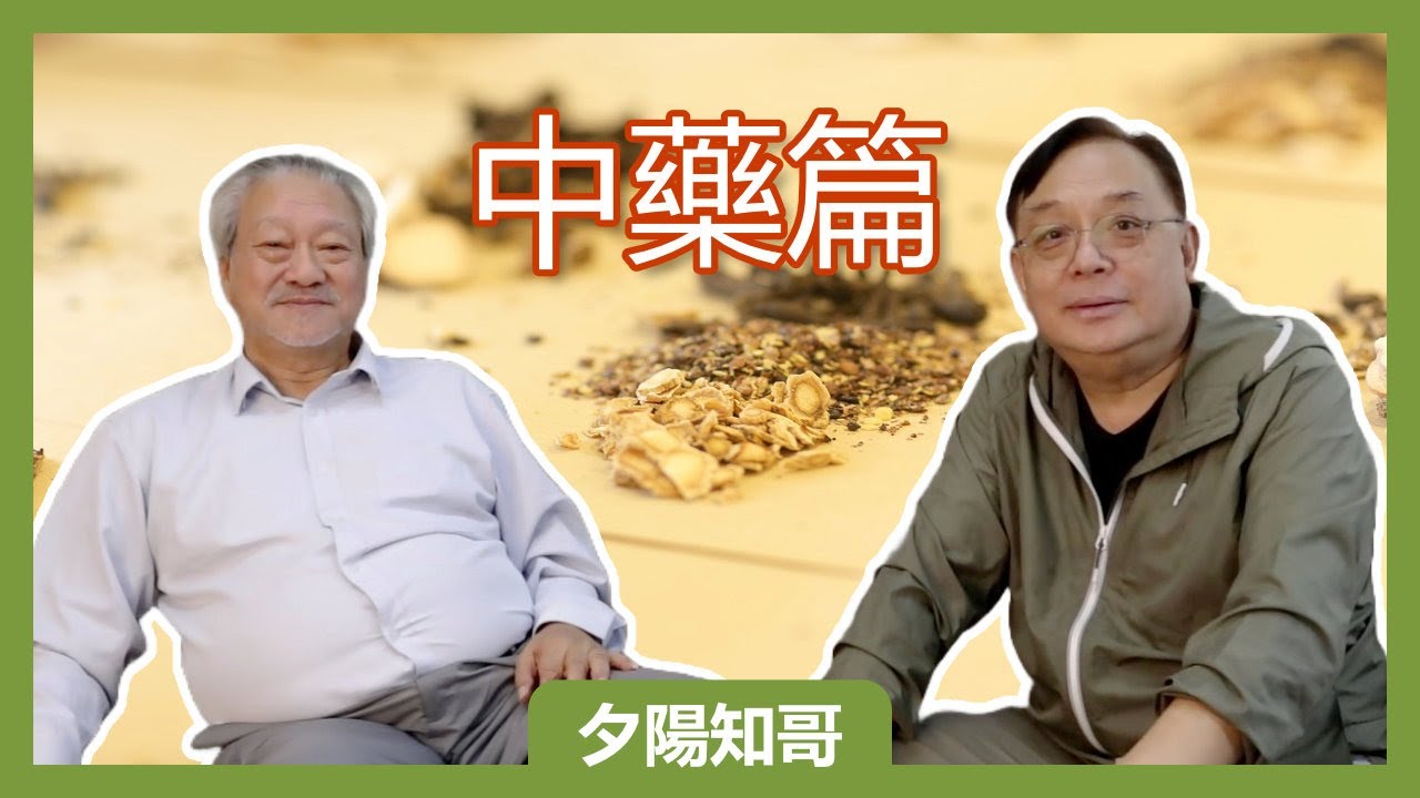 中藥篇 1｜蝦哥