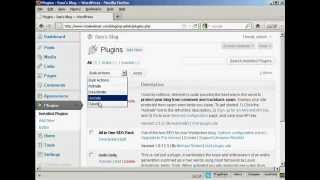 Wordpress Tutorials - Upgrading or Deleting Plugins Automatically