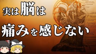 【雑学】実は人体でよく分かっていないこと 【ゆっくり解説】