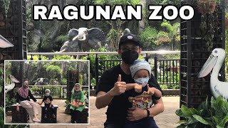 Ajak keponakan pertama kali jalan ke Kebun Binatang Ragunan: Wisata Seru &amp; Hemat di Jakarta
