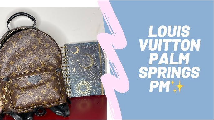 WHAT'S IN MY BAG 2019! LOUIS VUITTON PALM SPRINGS PM 