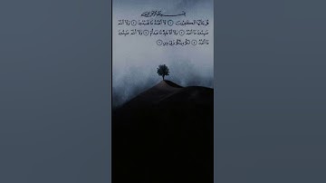 قُلْ يَا أَيُّهَا الْكَافِرُونَ ١۝ | سورة الكافرون | ابو بكر الشاطري | تلاوة جميلة