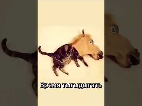 #дуэт #шуточное #юмор