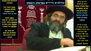 הרב דוד בן נעים | בא תשע"ב - מכת ארבה וחלקי הנפש