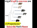 भालुओं से जुड़ी 5 रोचक तथ्य 🐻| 5 Amazing Facts About Bears | Bear Fact In Hindi | #shorts