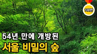 도심을 내려다보면서 걸을 수 있는 세계에서 가장 특별한 둘레길ㅣ대중교통 당일치기 여행ㅣ지하철 여행ㅣ트레킹 코스