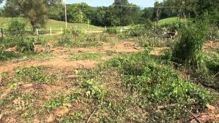 Northern WV Beagle Club Face Lift