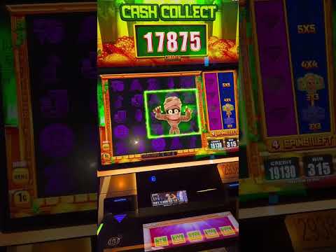 Si buscaban en el casino a un integrante del crimen organizado, reconocen