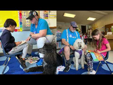 Reading with Dogs at Apostles Lutheran School