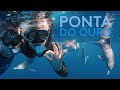 In search of DOLPHINS in PONTA do Ouro - Lost in Mozambique Episode 2