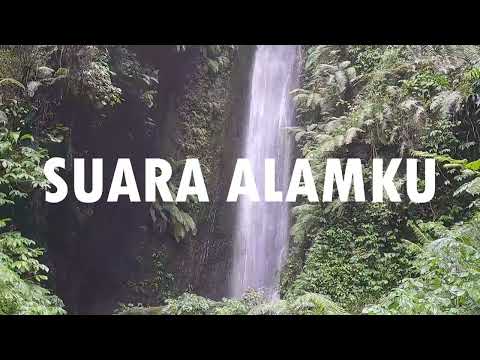 FOREST STREAM SOUNDS, GENTLE BIRD SONG, RELAXING NATURE SOUNDS, COLLABORATION WITH@GoodMorningBirds